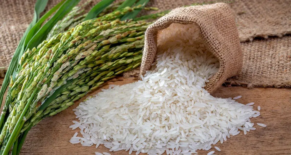 Ryż bez glutenu? Jak unikać pułapek i kupować bezpiecznie!