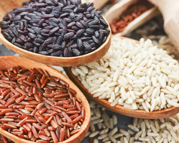 Jaki ryż jest najzdrowszy? Wybierz idealny dla siebie!