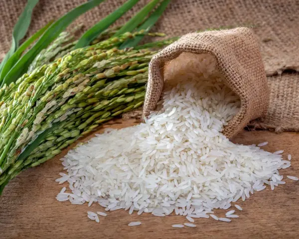 Ryż bez glutenu? Jak unikać pułapek i kupować bezpiecznie!