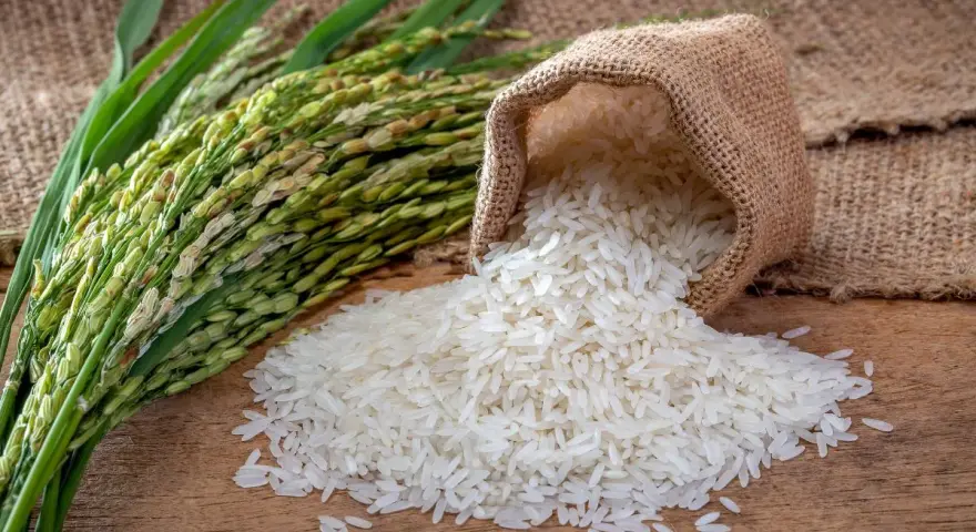 Ryż bez glutenu? Jak unikać pułapek i kupować bezpiecznie!